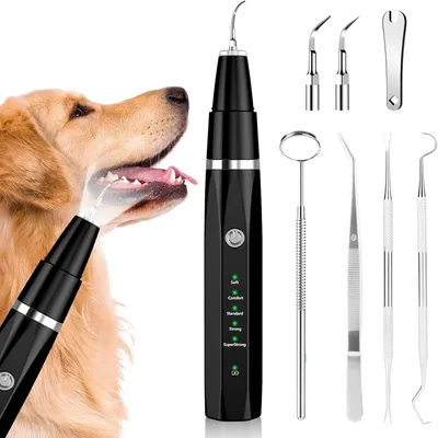 Productafbeelding van Tandsteenverwijderaar voor honden en katten - ultrasone tandenreiniger - 5 standen - USB oplaadbaar