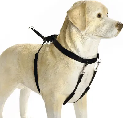 Produktbild von Beeztees Gentle Walker - Hundegeschirr - schwarz - XL