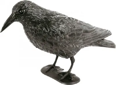 Image de Effaroucheur de pigeons 'Corbeau
