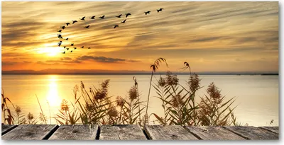 Produktbild von Tulup® Leinwandbild -100x50 cm - Wandkunst - Drucke auf Leinwand - Leinwanddruck  - Landschaften - Orange - Pier am See