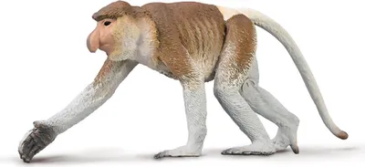 Zdjęcie produktu dla COLLECTA Proboscis Monkey 80014 00141
