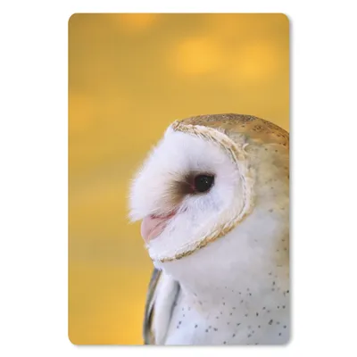 Produktbild von MuchoWow® Mauspad Mousepad Eule - Gelb - Tier 40x60 cm - Mousepads - Maus Mat - Pad - Mausunterlage - Schreibtisch Accesoire