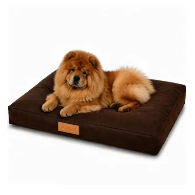 Produktbild von Dogeste Hundebett XL für große Hunde als Hundekissen waschbar
