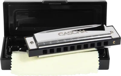 Image de Harmonica blues en do (étui et chiffon de nettoyage inclus)