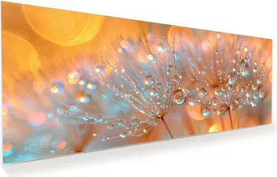 Produktbild von Glasbild 150x60cm in XXL für Wohnzimmer, Schlafzimmer Motiv Pusteblumen Tropfen