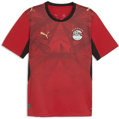Produktbild von Puma EFA Home Jersey Replica, Größe:L