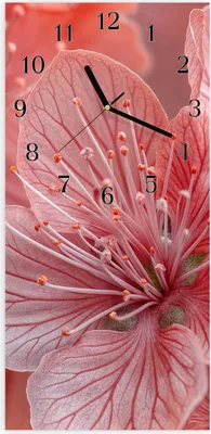 Produktbild von Wanduhr aus Glas mit Motiv Blumenpracht- 30 x 60 cm - inkl. Aufhängesystem