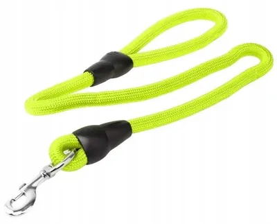 Image de Nobleza, laisse pour chien, couleur verte, 120 cm, robuste, avec poignée