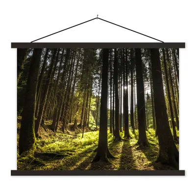 Produktbild von MuchoWow® Textilposter Baum - Natur - Sonne - Wald 150x113 cm mit schwarzem Rahmen - Wohnzimmer