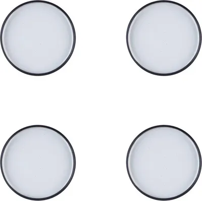 Image de Assiettes GOURMET, lot de 4