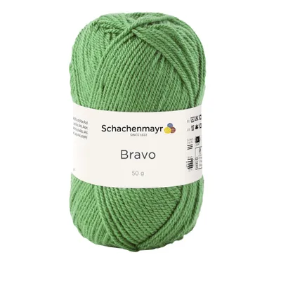 Image de Schachenmayr Bravo, 50 g de fil à tricoter Farn