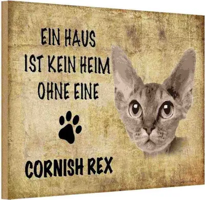 Produktbild von vianmo Holzschild 12x18 cm Cornish Rex Katze Tier Haustier