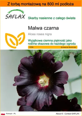 Zdjęcie produktu dla SAFLAX - Garden in the bag - Malwa czarna - 100 Nasiona - Z podłożem uprawowym w praktycznej, samorozkładającej się torbie - Alcea rosea nigra