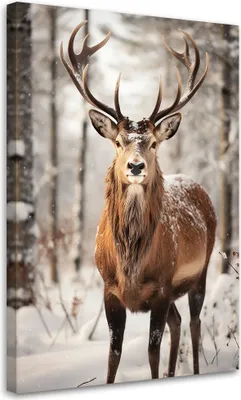 Produktbild von Leinwandbild  Rentier im Wald 60x90 Feeby Grau bild für die wand bereit zum aufhängen