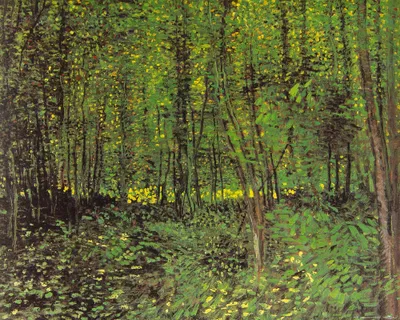 Obrázek produktu pro Vincent Van Gogh Art Print Obraz - Stromy a podrost, 1887 (40 x 50 cm)