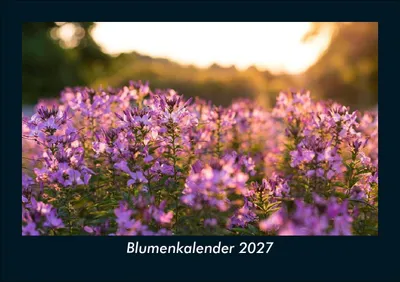 Produktbild von Blumenkalender 2027 Fotokalender DIN A5
