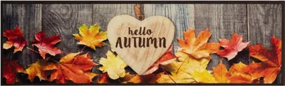 Produktbild von vidaXL Küchenteppich Waschbar Herbst 45x150 cm Samt