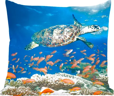 Produktbild von MuchoWow® Zierkissen Sofakissen Wohnzimmer Dekokissen 40x40 cm Korallenriff mit Schildkröte - Foto Kissen - Schlafzimmer Dekoration