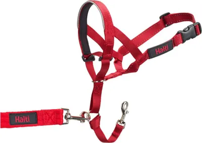 Obrázek produktu pro Drezurní obojek pro psy Company of Animals Halti náhubek (46-62 cm)