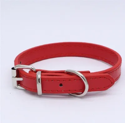 Immagine prodotto di Collare per cani NERO - rosso M