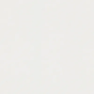 Image de Profhome 211798-GU Papier peint ton-sur ton mat blanc 5,33 m2