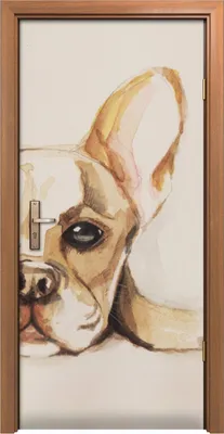 Produktbild von Türposter 90x200 cm Türaufkleber Türtapete Türfolie Klebefolie Wand Bild Bulldogge Hund Tier Welpe