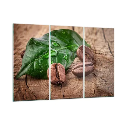 Produktbild von Bilder auf glas - Aroma Kaffee Pflanze Samen - 165x110cm - Glasbilder - Wandbilder - Kunstdruck - zum Aufhängen bereit - Wanddekoration aus Glas - Glas Bilder - Wandbild auf Glas - GCE165x110-2548