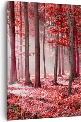 Produktbild von Bild auf Leinwand - Leinwandbild - Einteilig - Wald Rot Bäume - 70x100cm - Wand Bild - Wanddeko - Wandbilder - Leinwanddruck - Kunstdruck - Wanddekoration - Leinwand bilder - Wandbild - PA70x100-4944