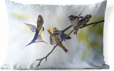 Produktbild von MuchoWow® Outdoor Kissen - Juvenile Rauchschwalben - 60x40 cm - Wetterfest - Lounge Kissen - Zierkissen - Kissen für Innenräume