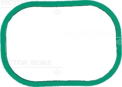 Produktbild von REINZ 71-12905-00 Dichtung Ansaugbrücke für BMW i3 (I01)