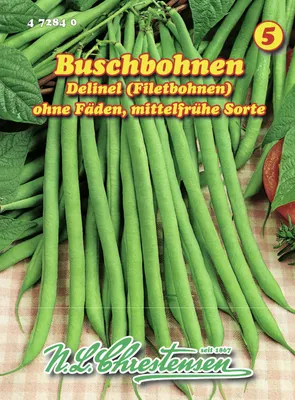Produktbild von Filetbohne Delinel | Bohnensamen von N.L. Chrestensen