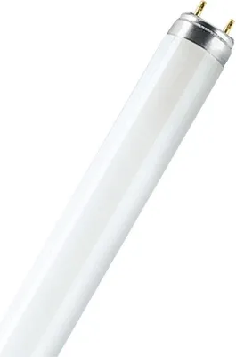 Obrázok produktu pre Osram Active Daywhite, 36 W, G13, 3350 lm