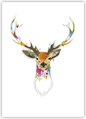 Produktbild von Poster - Poster ohne Rahmen - Deer fantasie Graffiti Grafik - 50x70 cm - Wand Bild - Wanddeko - Wandbilder - Kunstposter - Wandposter - Bilder - Kunstdruck - Wandbild - P2XPA50x70-3161