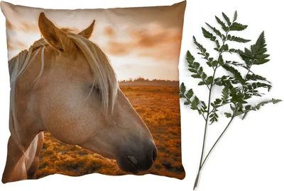 Produktbild von MuchoWow® Zierkissen Sofakissen Wohnzimmer Dekokissen 60x60 cm Pferd - Tiere - Porträt - Sitzfläche - Foto Polster