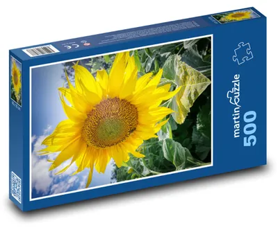 Produktbild von Puzzle 500 Blühende Sonnenblume - martinpuzzle
