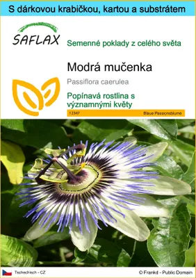 Obrázek produktu pro SAFLAX Dárková sada - Modrá mučenka - Passiflora caerulea - 25 Semena - S dárkovou krabičkou, přepravním štítkem, dárkovou kartou a pěstebním médiem