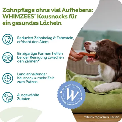 Produktbild von WHIMZEES Zahnbürste S 24 Stück Kaustangen für kleine Hunde zur Zahnpflege