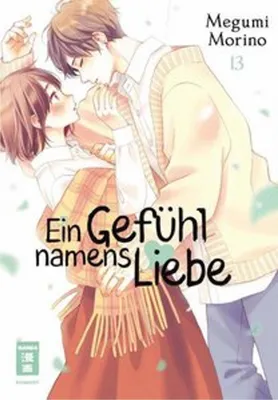 Image de Ein Gefühl namens Liebe 13