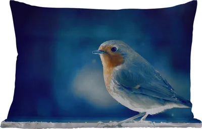 Produktbild von MuchoWow® Outdoor Kissen - Rotkehlchen - Blau - Schnee - 60x40 cm - Wetterfest - Lounge Kissen - Zierkissen - Kissen für Innenräume