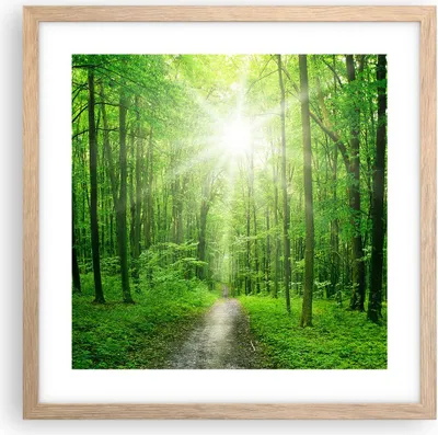 Produktbild von Gerahmtes Poster - Rahmen in heller Eiche - Sonnenstrahlen Wald Sommer - 40x40 cm - Wand Bild - Wanddeko - Wandbilder - Wandposter - Bilderrahmen - Bilder - Kunstdruck - Wandbild - P2NAC40x40-2689
