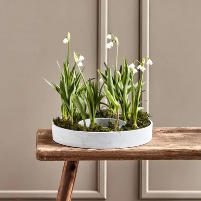 A white planter with white flowers and green leaves sits on a rustic wooden stool.