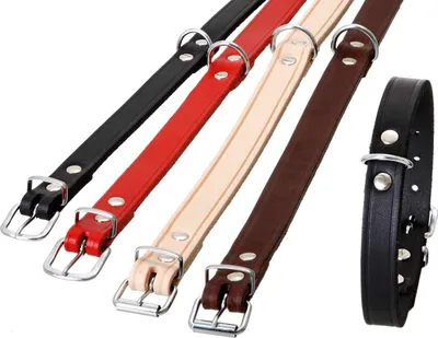Produktbild von Karlie - RONDO Halsband genietet - Natur 25mm 70cm