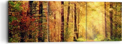 Produktbild von Bild auf Leinwand - Leinwandbild - Wald Baum Natur - 90x30cm - Wand Bild - Wanddeko - Wandbilder - Leinwanddruck - Bilder - Kunstdruck - Wanddekoration - Leinwand bilder - Wandkunst - CA90x30-3718