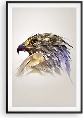 Produktbild von Gerahmtes Poster - Schwarzer Rahmen - Adler Vogel Feder - 61x91,5 cm - Wand Bild - Wanddeko - Wandbilder - Kunstposter - Wandposter - Bilderrahmen - Bilder - Kunstdruck - Wandbild - P2BPA61x91-3936