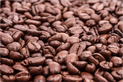 Produktbild von Wallario Poster - Frisch geröstete Kaffeebohnen, Kunstdruck Größe: 61 x 91,50 cm