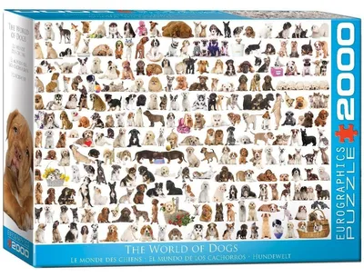Immagine prodotto di Eurographics Puzzle Hundewelt, Hunde, 2000 Teile, 67.6 x 96.8 cm, 8220-0581