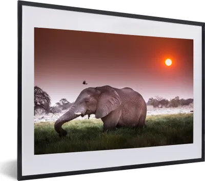 Produktbild von MuchoWow® MuchoWow® Gerahmtes Poster Elefant - Gras - Sonne - Tiere 60x40 cm - Poster mit zchwarzem Bilderrahmen - Schlafzimmer - Plakat in Rahmen - Drucken