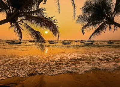 Produktbild von Papermoon VLIES Fototapete, Digitaldruck,  Sri Lanka Palm Beach (692)