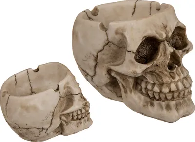 Immagine prodotto di Teschio posacenere OOTB di circa 12 cm