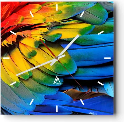 Produktbild von Wanduhr - Quadrat - Glasuhr - Feder Papagei Vogel - 30x30cm - Schleichendes Uhrwerk - Lautlos - zum Aufhängen bereit - Dekoration Modern - Wanddekoration aus Glas - C3AC30x30-3428